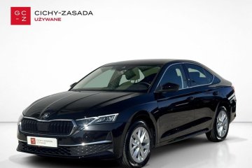 SalonPL Selection 2.0TDI 115KM Kamera Smartlink  LED Matrix P.Winter