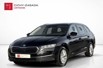 SalonPL 1.5eTSI mHEV 150KM DSG Selection+Winter ASO Virtual Kessy FV23